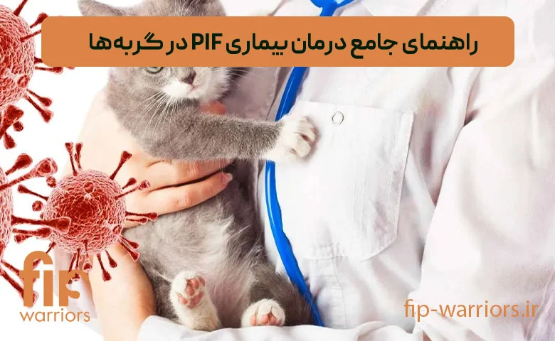 آشنایی با بیماری FIP در گربه‌ها: تشخیص، علائم و راه‌های درمانی نوین در ایران