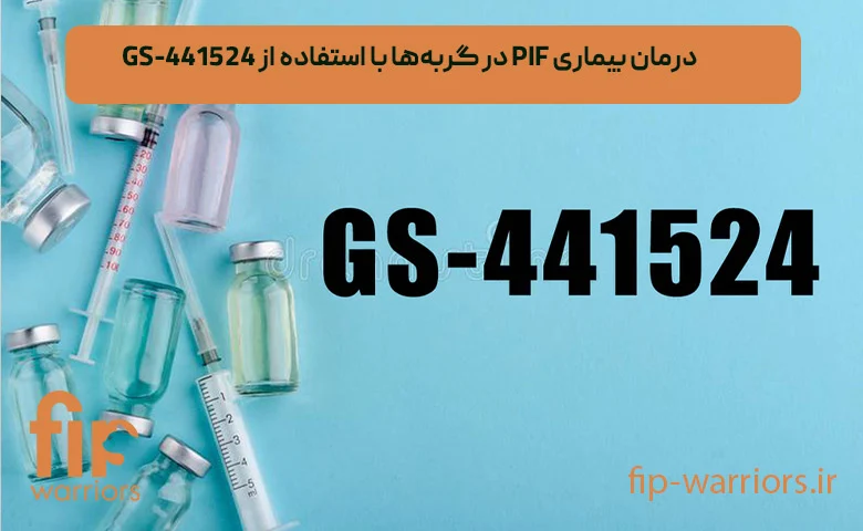 آشنایی با بیماری FIP در گربه‌ها: تشخیص، علائم و راه‌های درمانی نوین در ایران