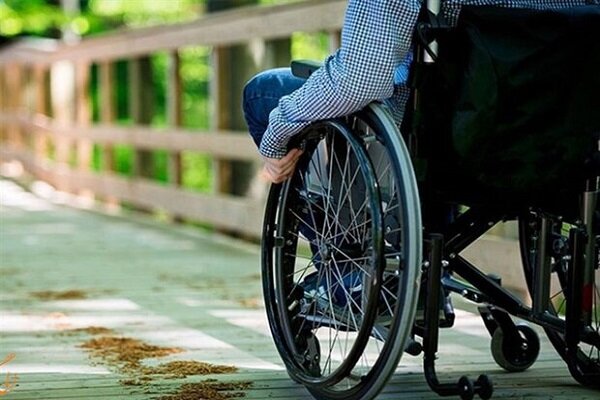 کودک ۲۵۰ ویلچر کودک در ۶ استان توزیع شده است - خبرگزاری مهر | اخبار ایران و جهان