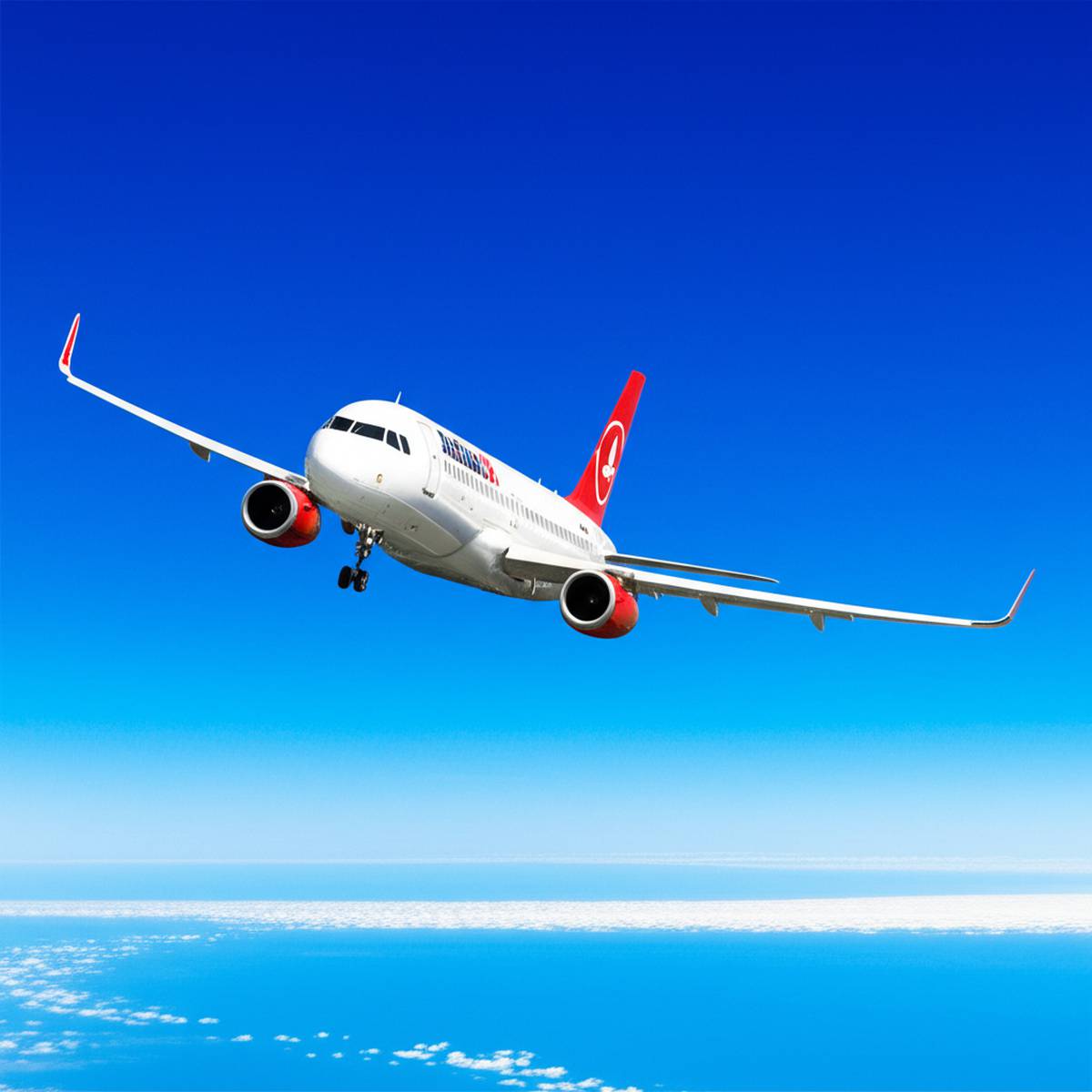 هواپیمایی آنادولوجت AnadoluJet