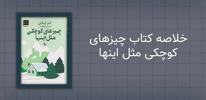 خلاصه کتاب چیزهای کوچکی مثل اینها