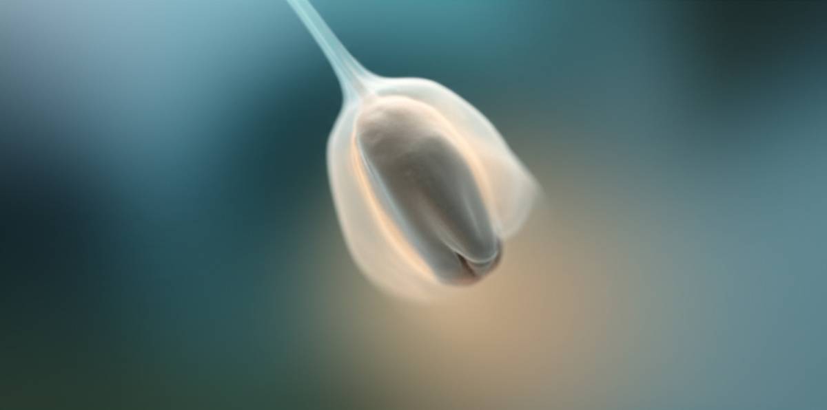 سقط جنین ۱۶ هفته؛ راهنمای کامل مراحل، عوارض و نکات